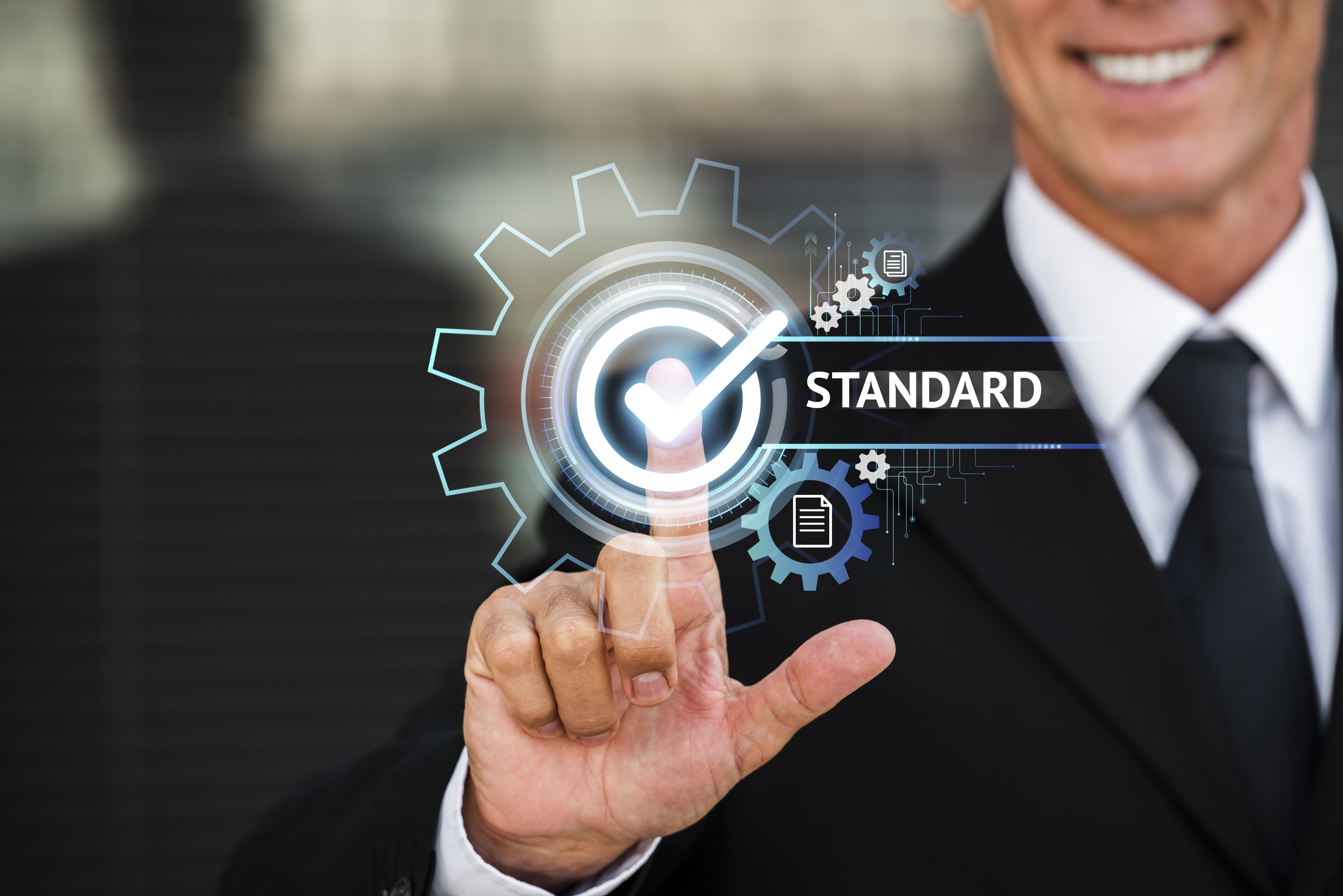 Datenschutz meistern mit BSI-Standards